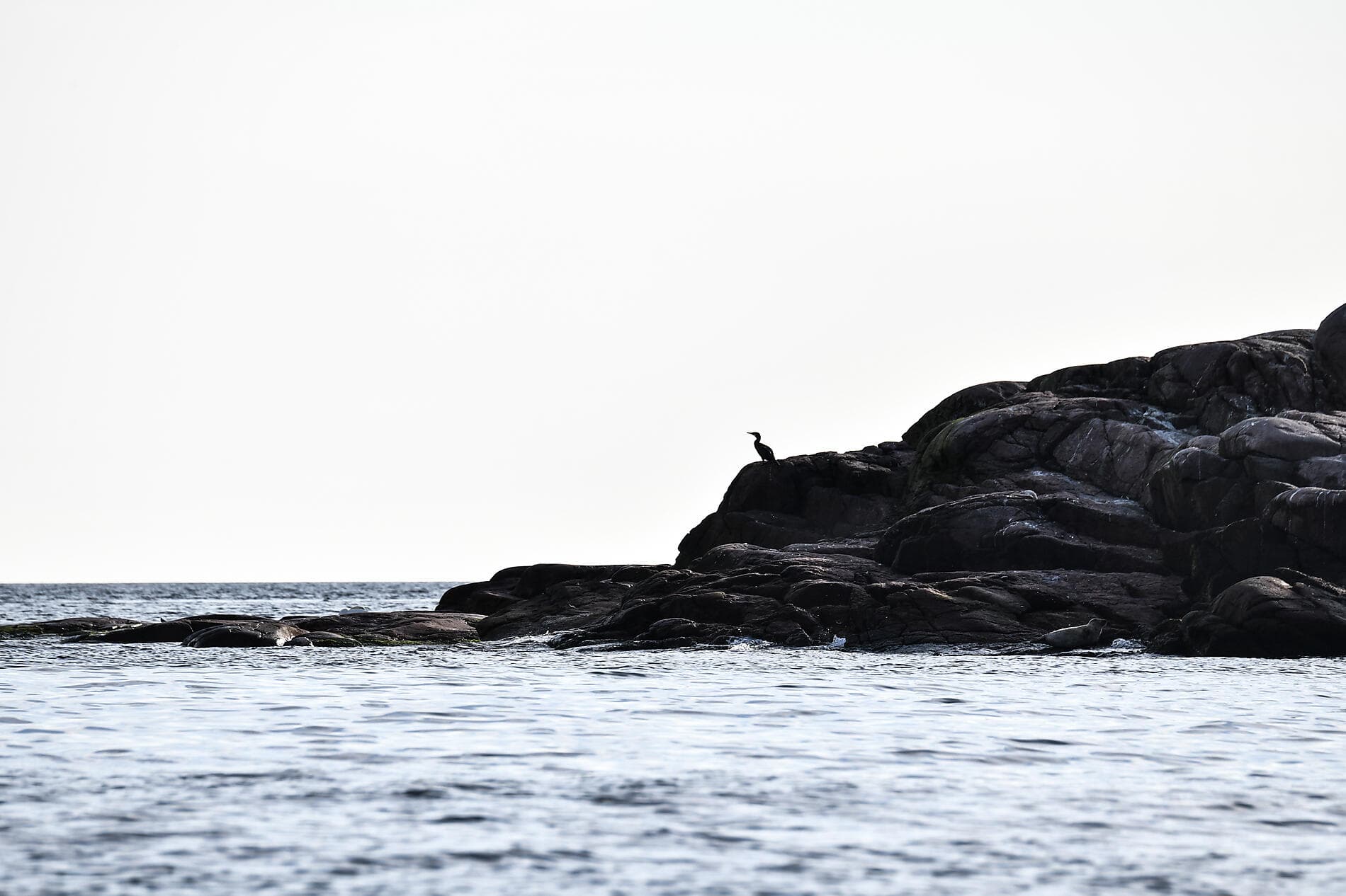 Festival de Jazz, de la Baltique à la mer du Nord 