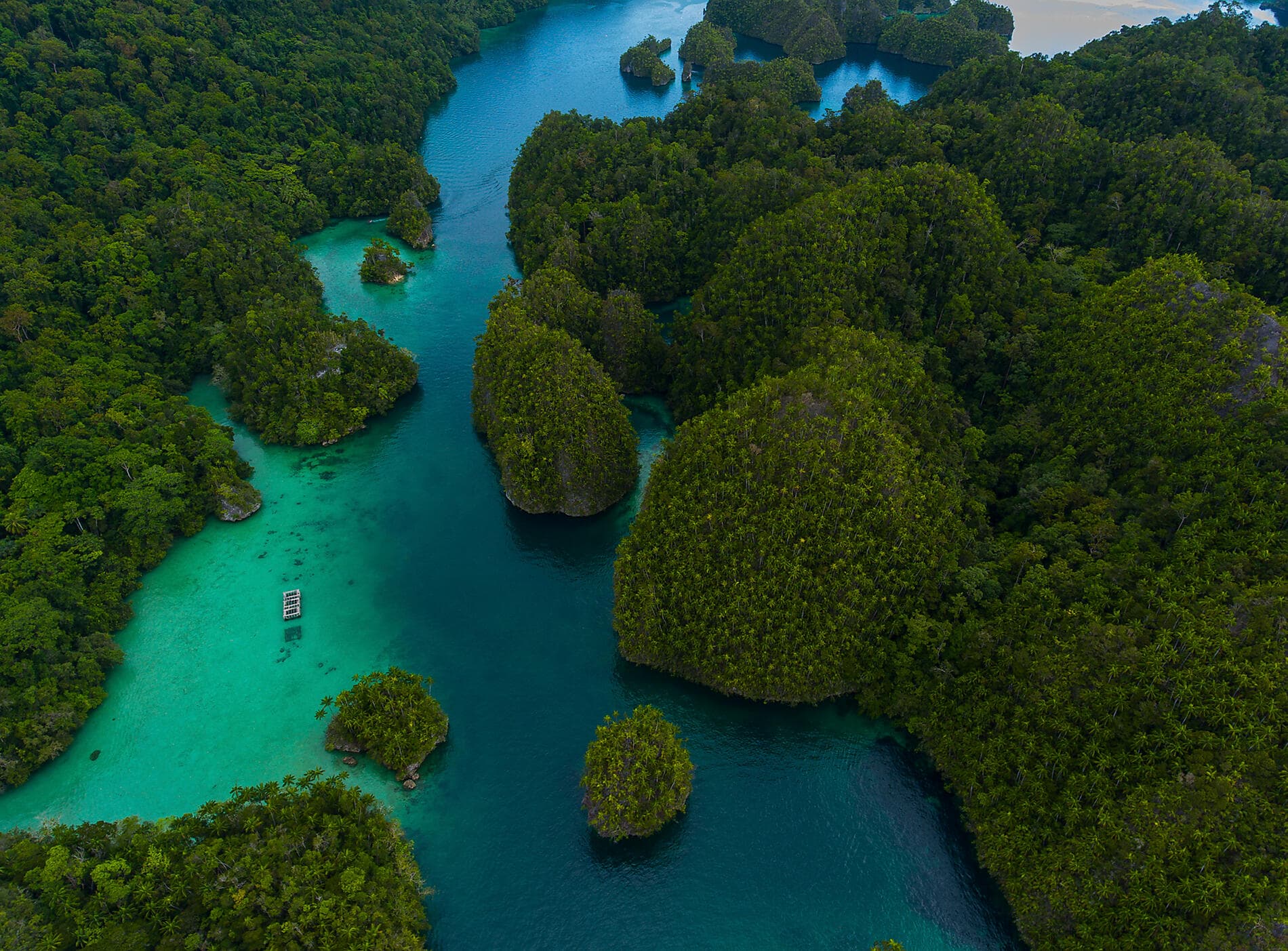 Odyssée tropicale entre Indonésie et nord-est Australien 