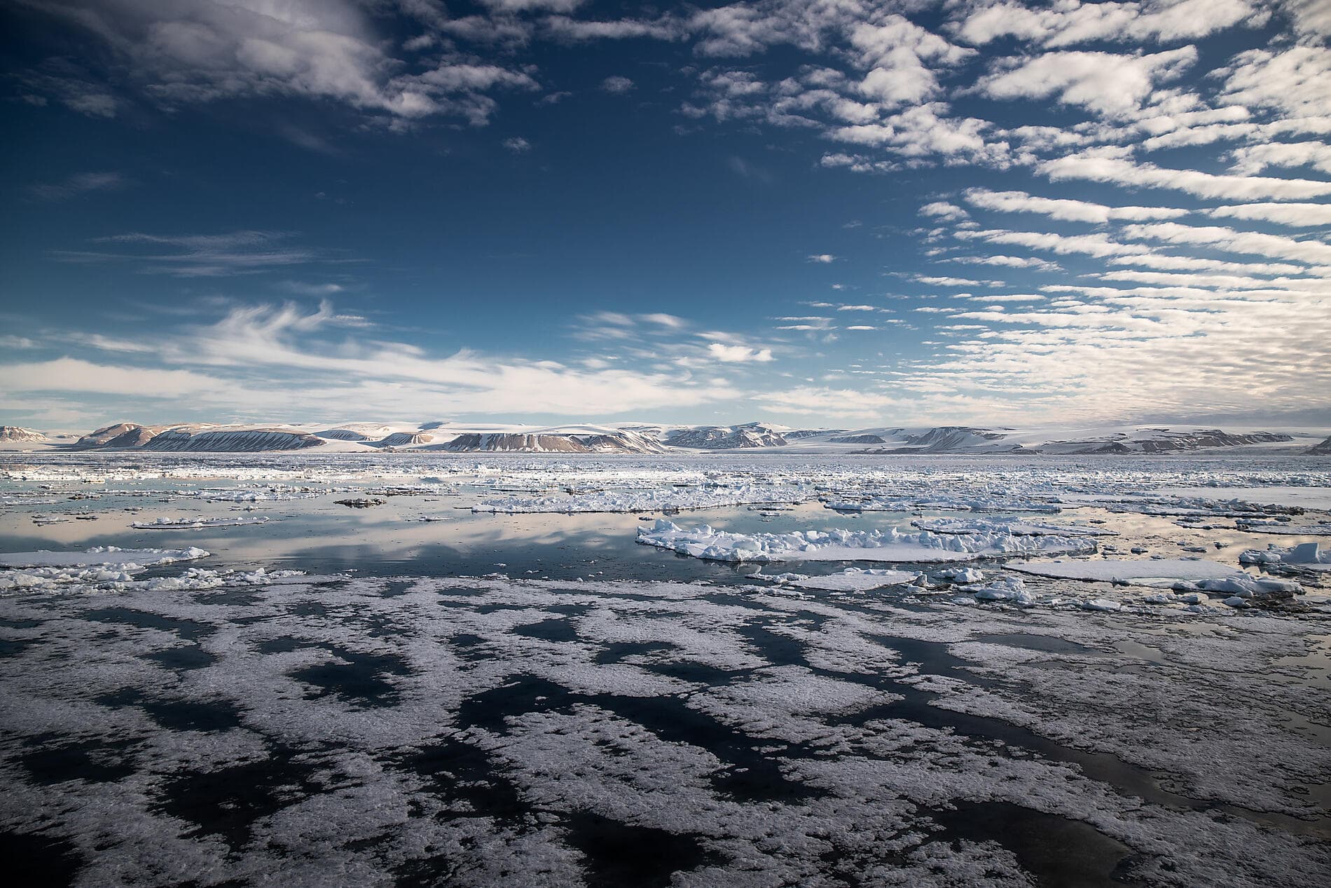 Au cœur des glaces de l'Arctique, du Svalbard au Groenland 