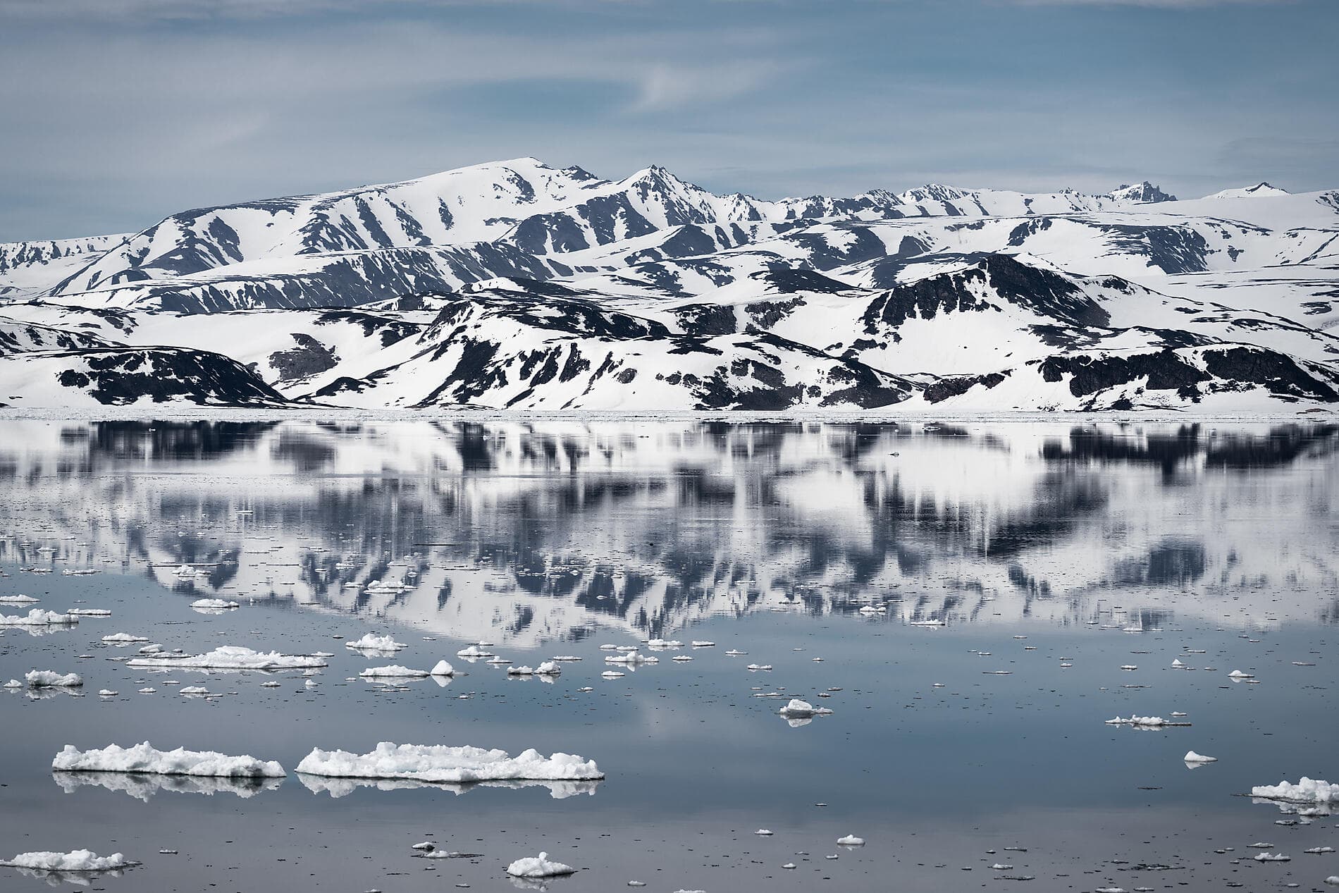 Au cœur des glaces de l'Arctique, du Svalbard au Groenland 
