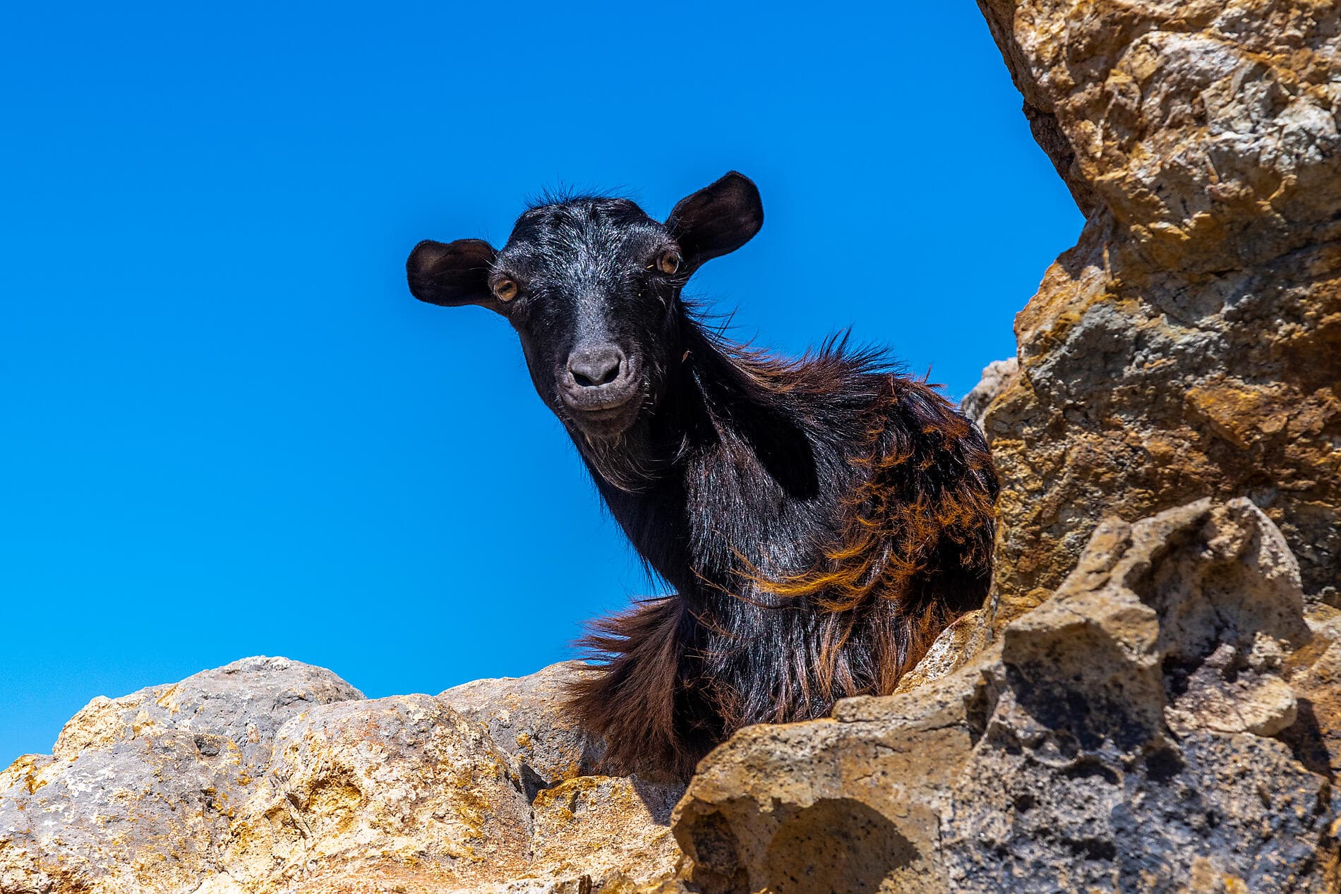 Le Ponant d'île en île, d'Athènes à Dubrovnik 
