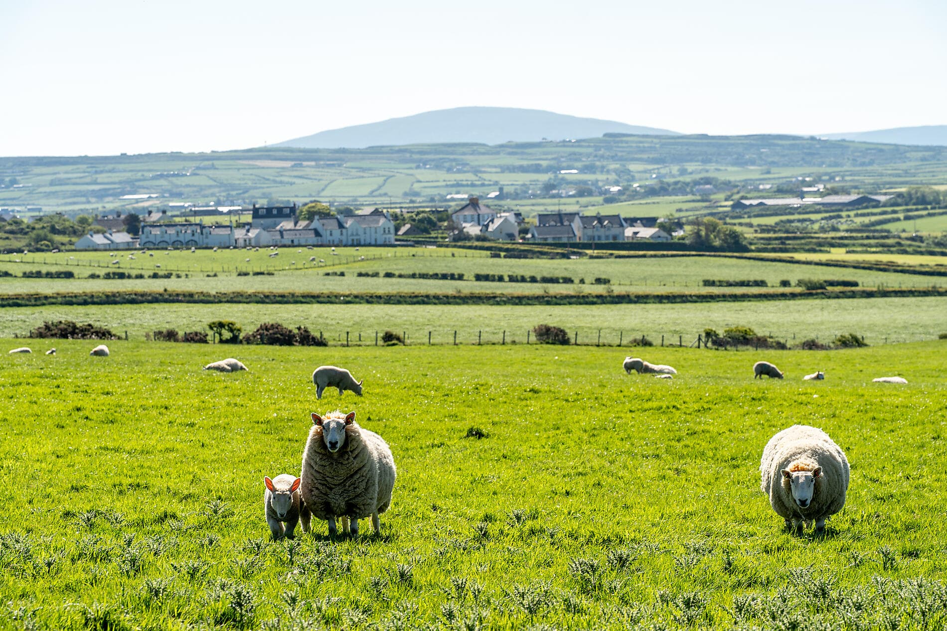 Hébrides et Highlands, terres de légendes 