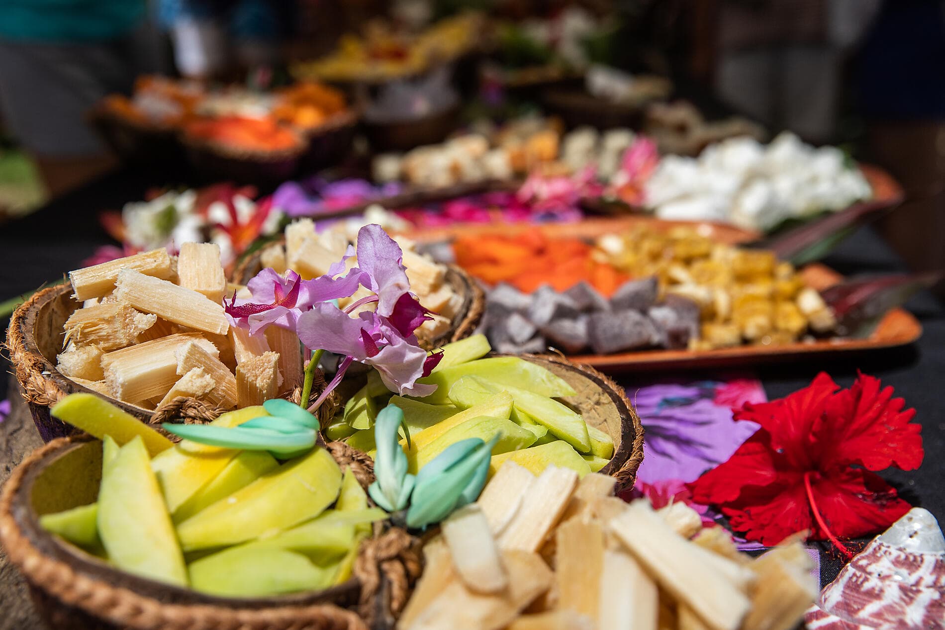 Polynésie secrète : Tuamotu inédites, îles Gambier et îles Australes 